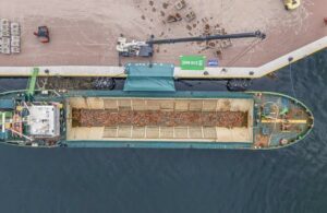 Restauration de bancs d’huîtres dans la mer du Nord