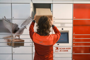 Un Bbox pour recevoir un colis dans certaines conditions lors d’une absence
